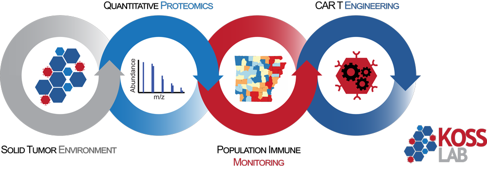 KossLab Info Graphic